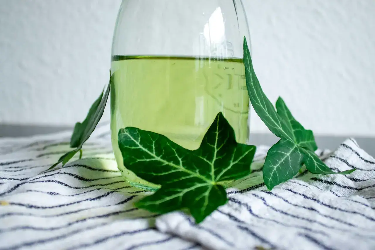 Gr&uuml;nes, klares Fl&uuml;ssigkeit in einem Glasbeh&auml;lter, umgeben von Efeubl&auml;ttern. Vielleicht ein nat&uuml;rliches Efeu Waschmittel?