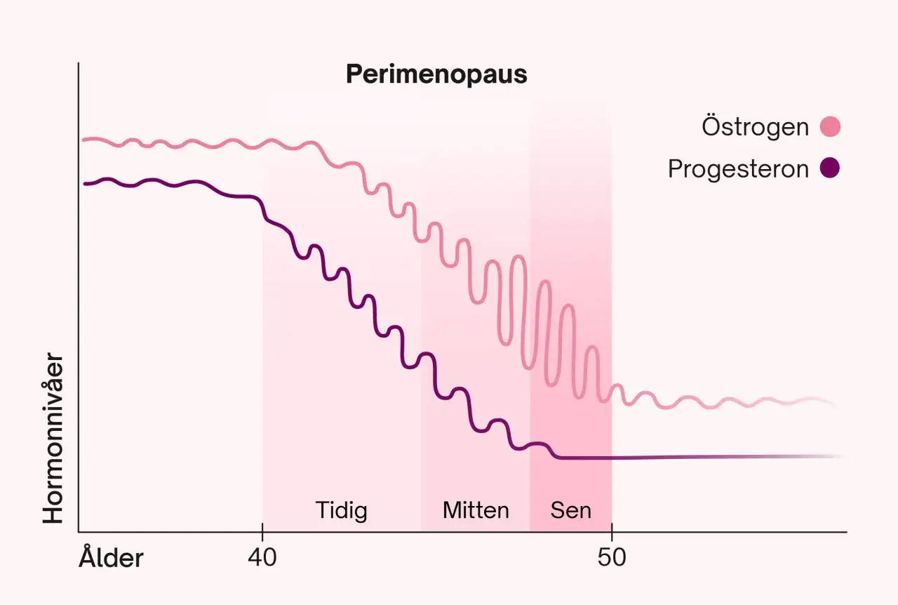 Graf som visar hormonförändringar under perimenopausen. Östrogen och progesteron minskar med åldern, vilket kan leda till kortare menscykel med åldern.