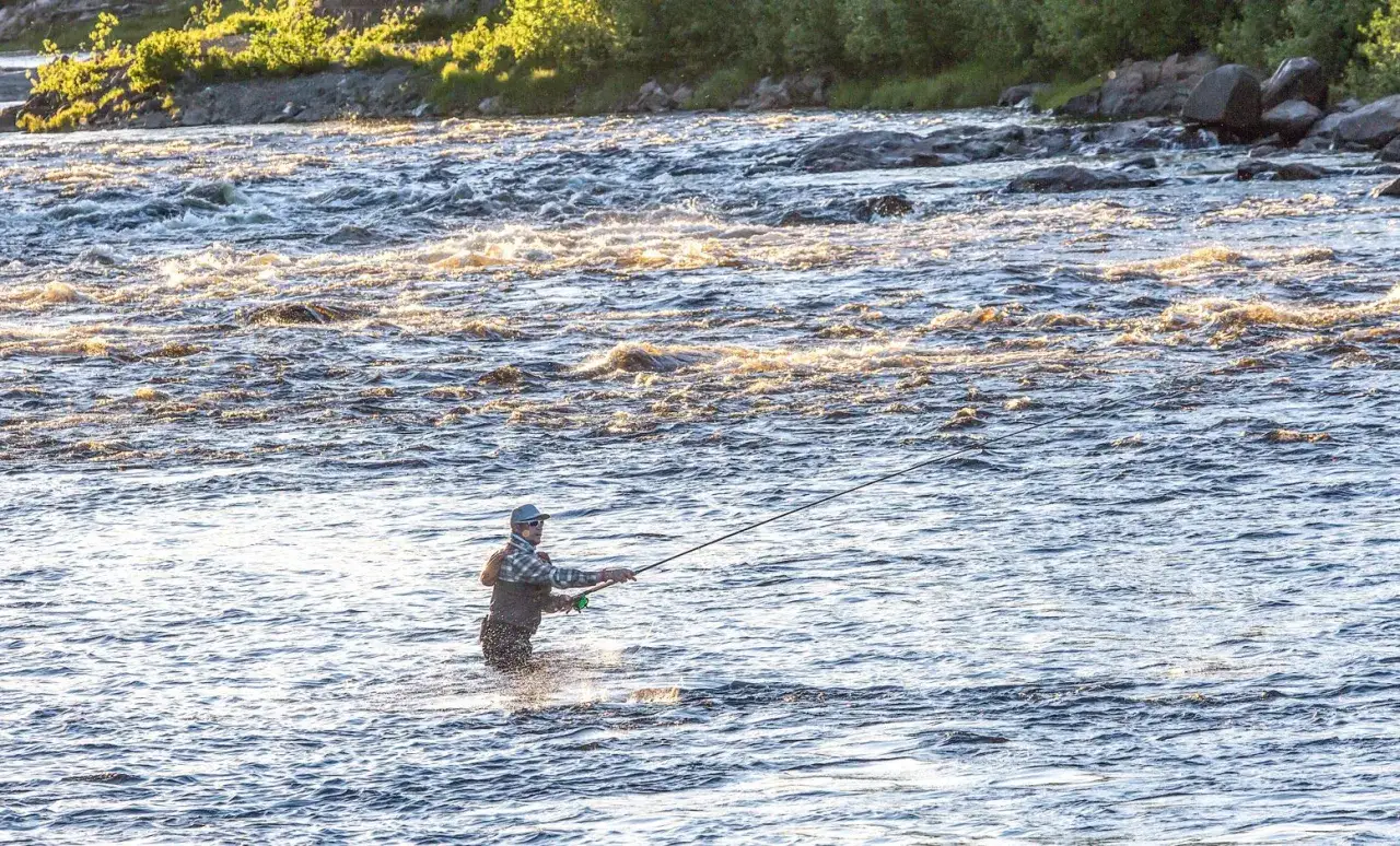 En person står i forsande vatten och försöker fiska lax. Solen glittrar i forsen.