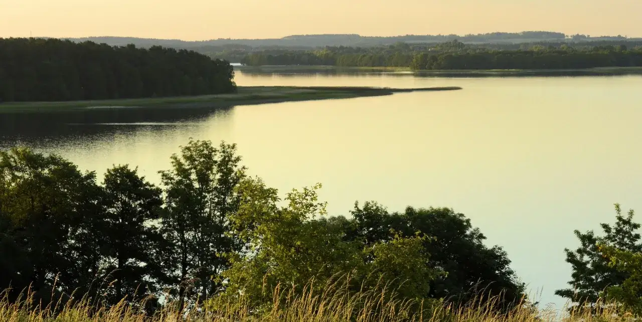 Zachód słońca nad jeziorem Śniardwy. Spokojna tafla wody odbija złote światło, a na pierwszym planie widać zarys drzew i traw.