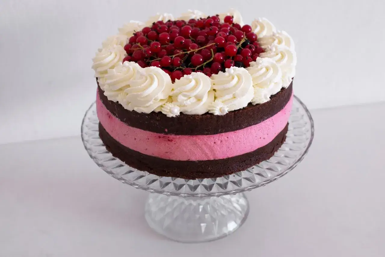 En vacker fransk chokladtårta med rosa mousse, toppad med vispgrädde och röda vinbär.