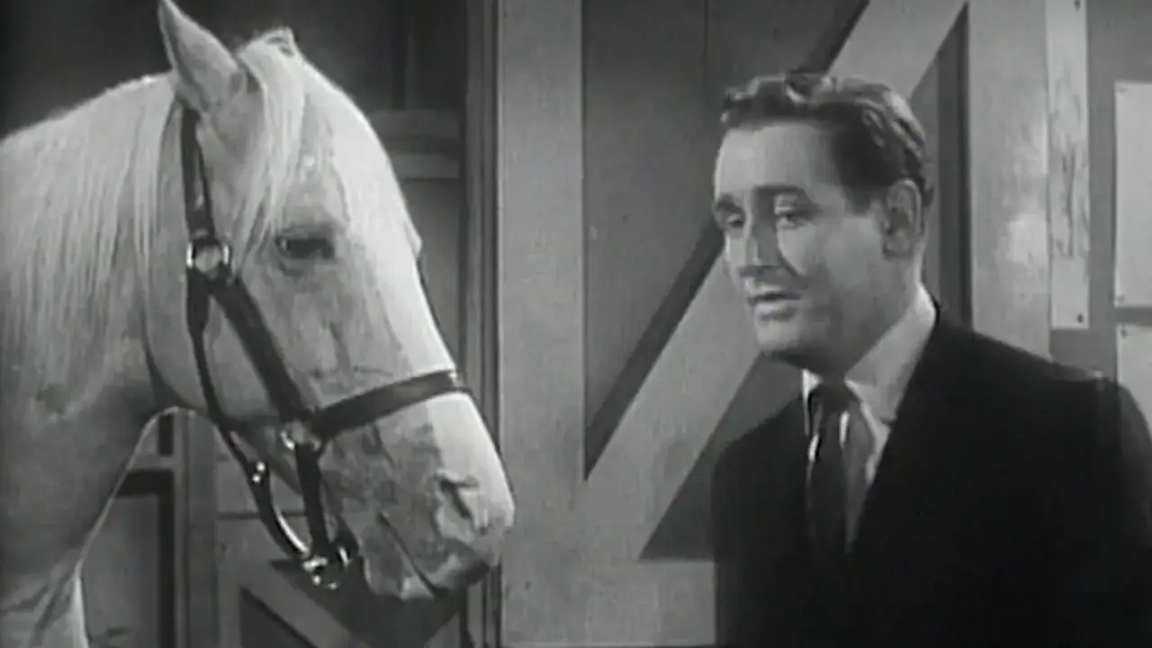 Mister Ed serial koń