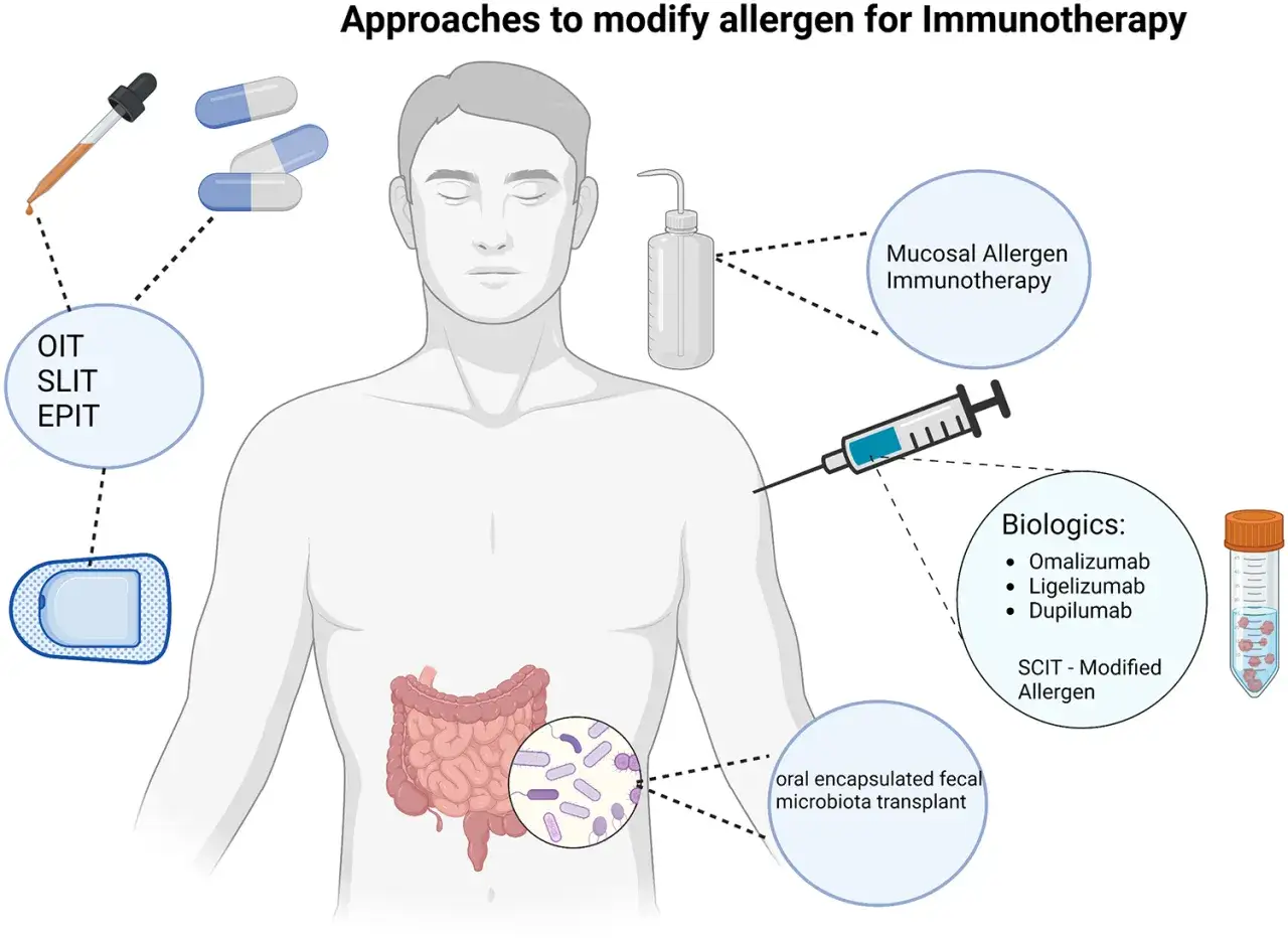 Schéma illustrant diverses approches pour la **désensibilisation allergies** : immunothérapie orale, sublinguale, épicutanée, mucosale, biologiques et transplantation fécale.
