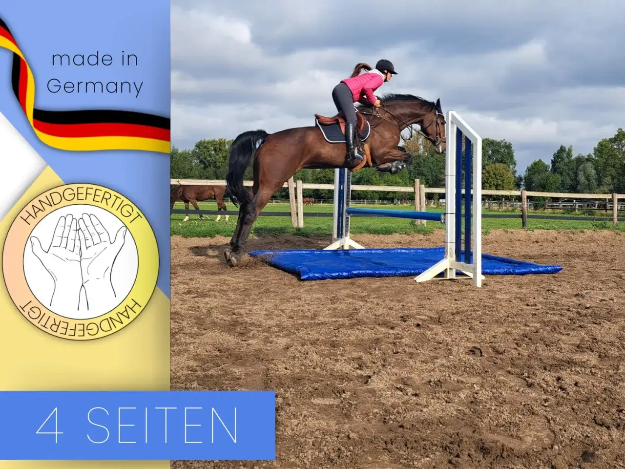 Ein Pferd springt über ein Hindernis beim **cross country reiten**. Im Hintergrund sind weitere Pferde und Bäume zu sehen.