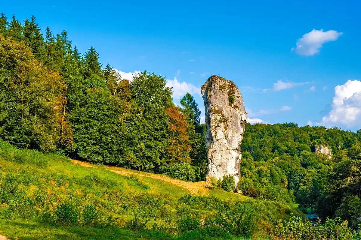 Wysoka skała góruje nad zielonym zboczem, otoczona lasem. To malownicza wieś na szlaku Orlich Gniazd, gdzie natura zachwyca.