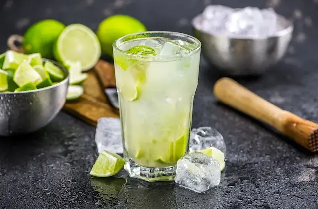 Virgin Mojito und Ipanema Mocktails in Gl&auml;sern mit Limetten und Minze
