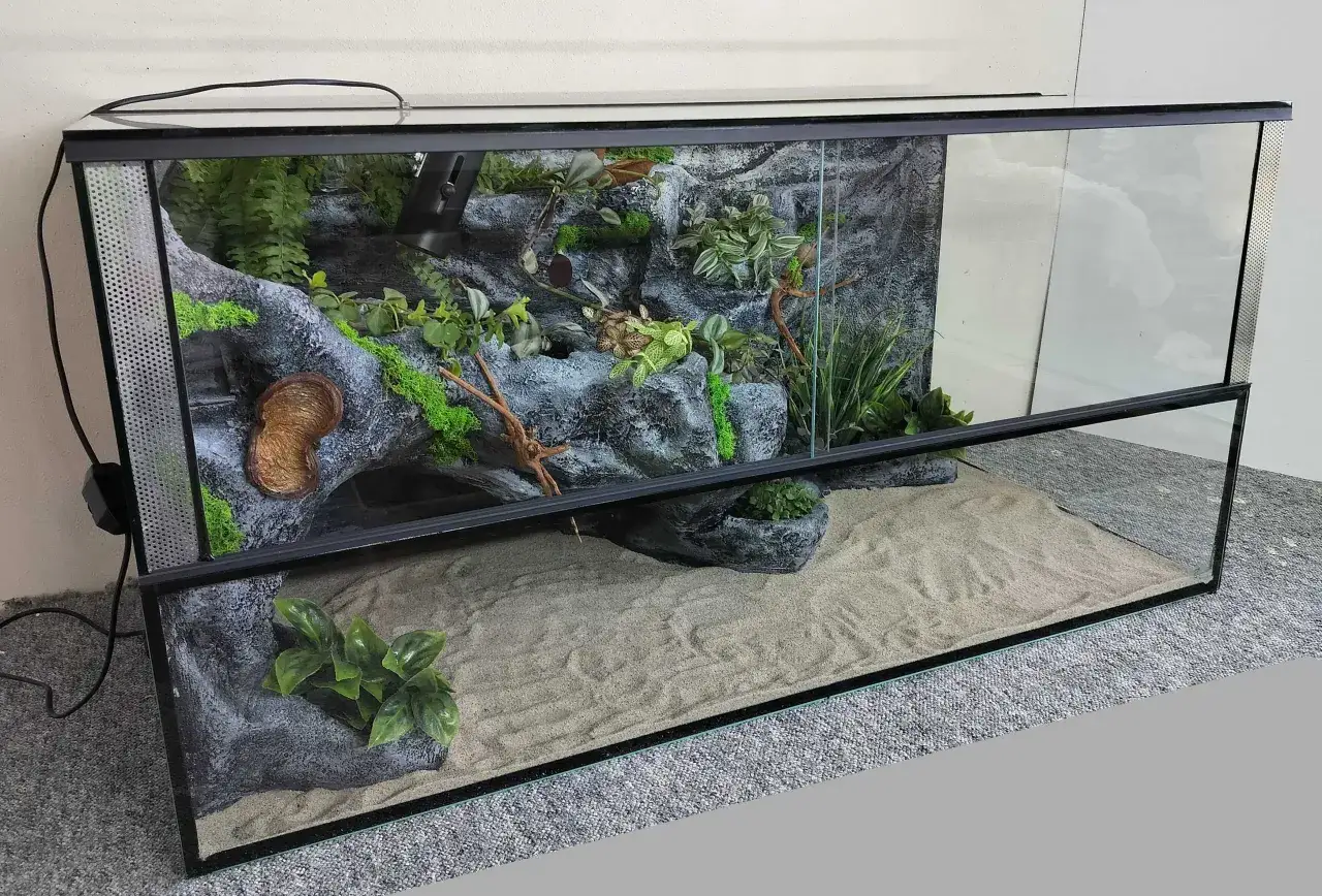 Zdrowy ż&oacute;łw wodno-lądowy w akwaterrarium