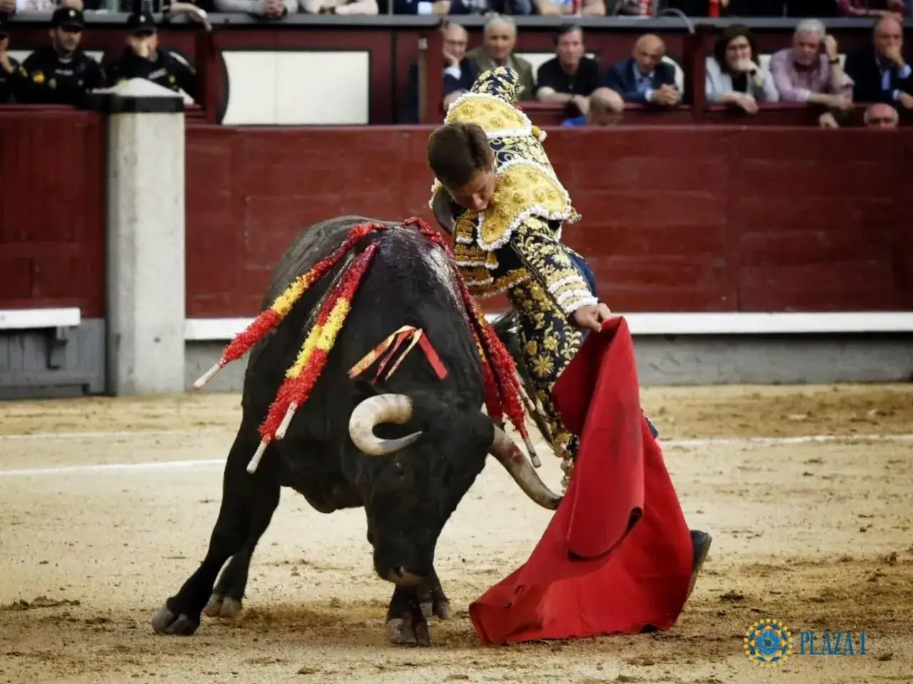 El torero Juli, con traje de luces dorado y azul, se enfrenta a un toro negro en la arena.