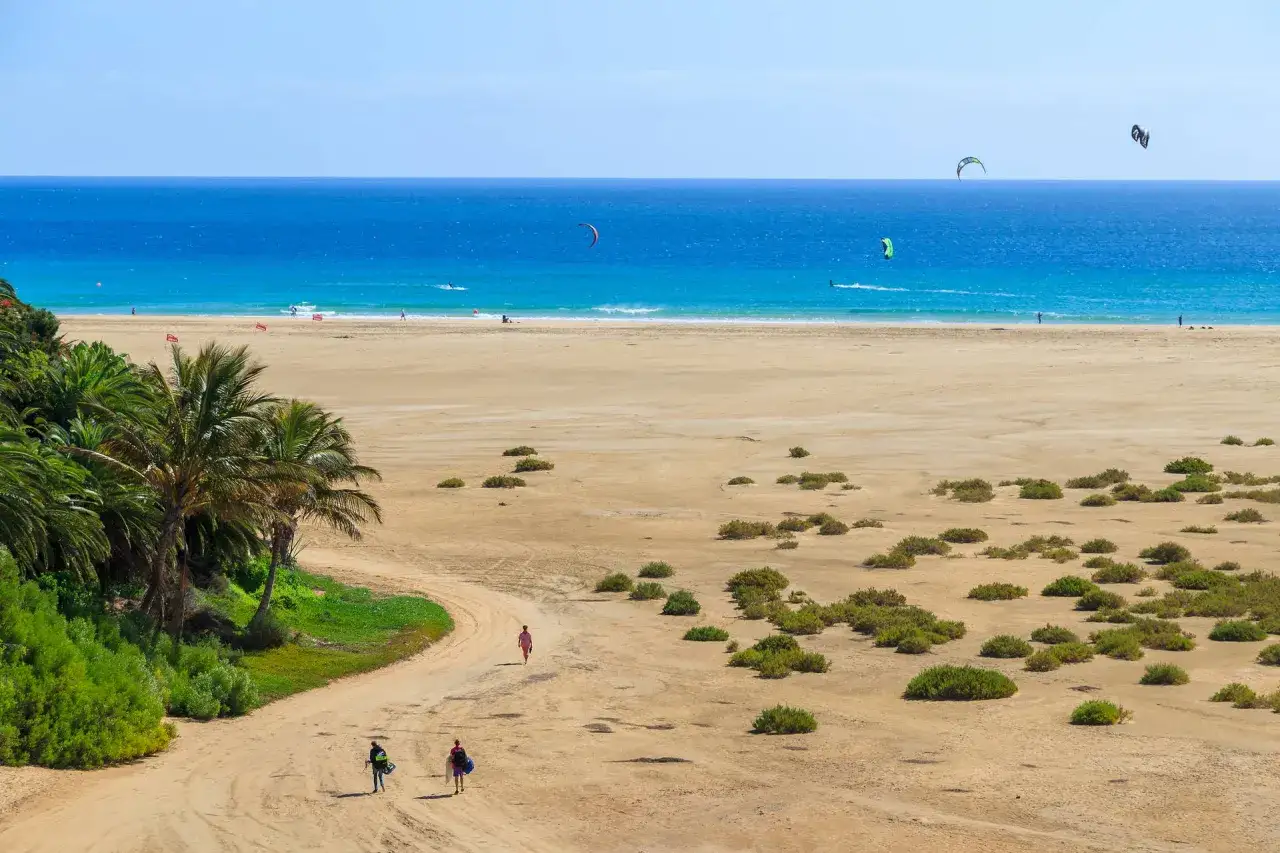 Fuerteventura w lutym: słoneczna plaża, palmy i kitesurferzy na błękitnym oceanie. Idealna pogoda na sporty wodne.