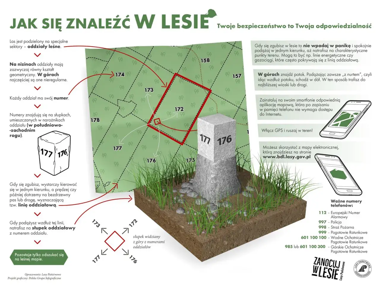 Mapa leśna z zaznaczonymi oddziałami i słupkami granicznymi. Zasady, jak się odnaleźć w lesie, gdy się zgubisz.