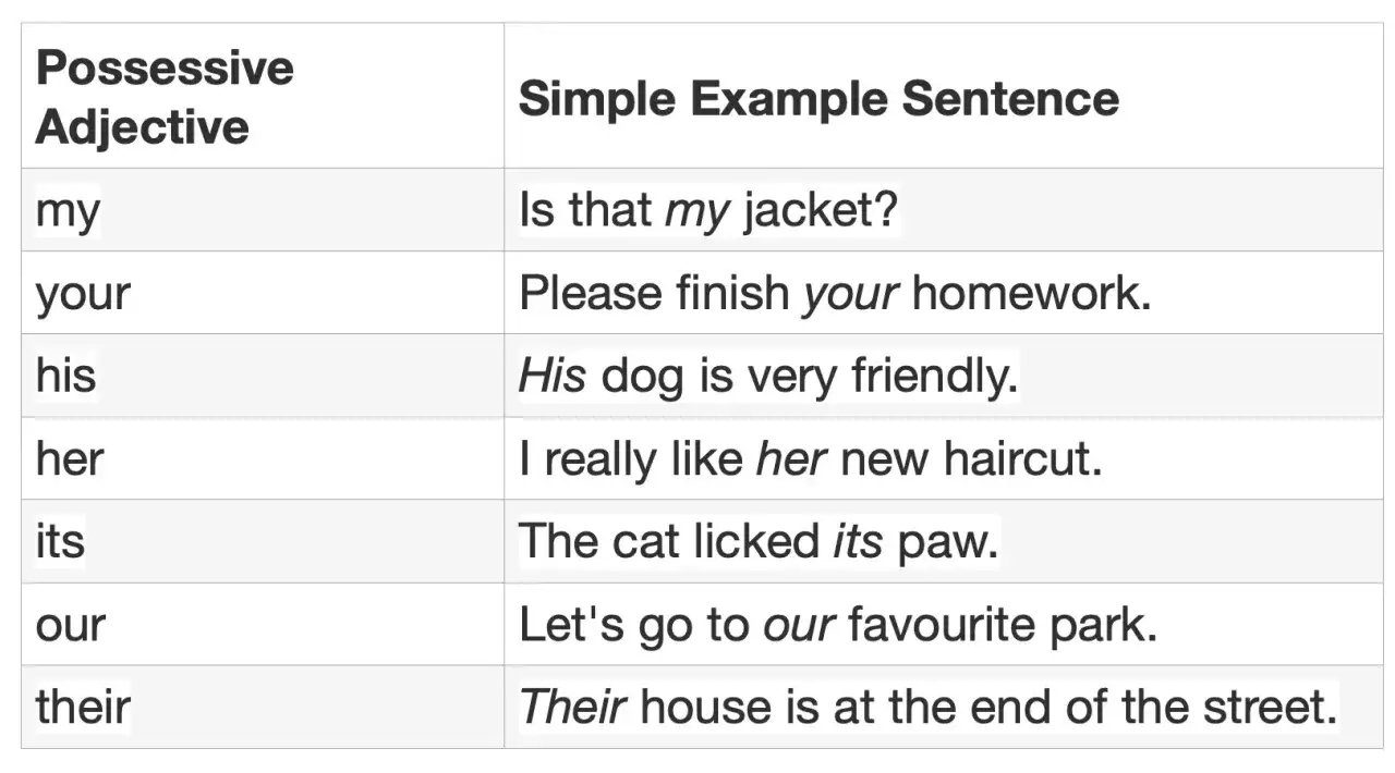 Tabella che illustra quali sono gli aggettivi possessivi in inglese (my, your, his, her, its, our, their) con esempi.