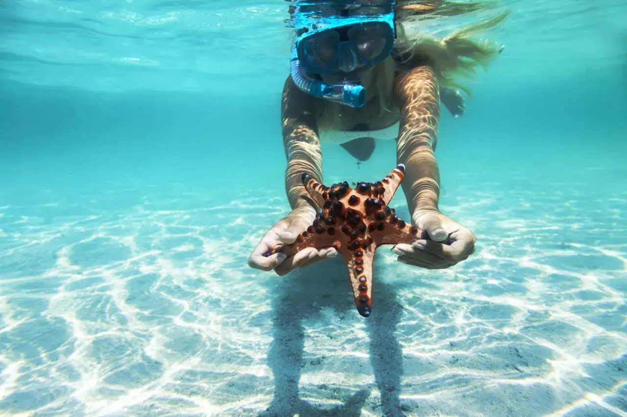 Donna con maschera da sub tiene una stella marina arancione. Sharm el Sheikh quando andare per vivere questa magia.