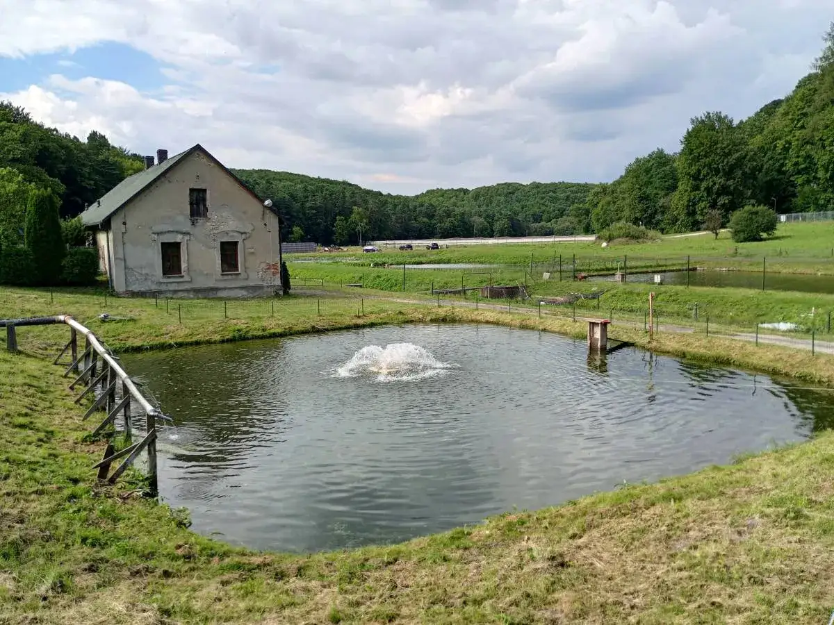 Stary budynek obok stawu z fontanną, otoczony zielenią. W oddali widać kolejne stawy hodowlane.