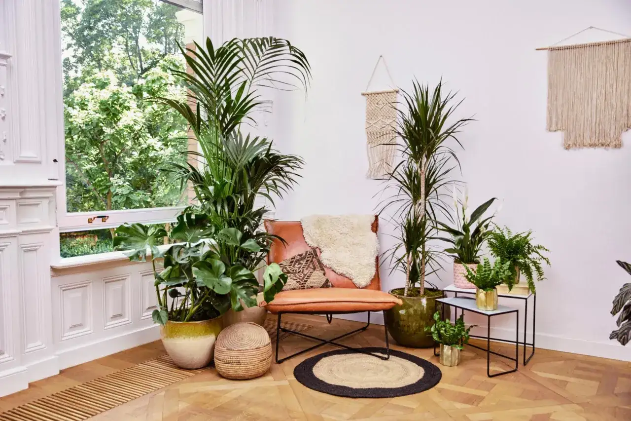 Gemütliche Ecke im Wohnzimmer mit vielen Pflanzen, Ledersessel und Makramee. Tolle **Ideen tote Ecke Wohnzimmer** beleben!