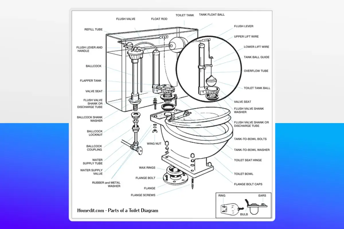 Schéma détaillé expliquant comment fonctionne un WC, montrant le réservoir, la cuvette et leurs composants internes comme le flotteur et le clapet.
