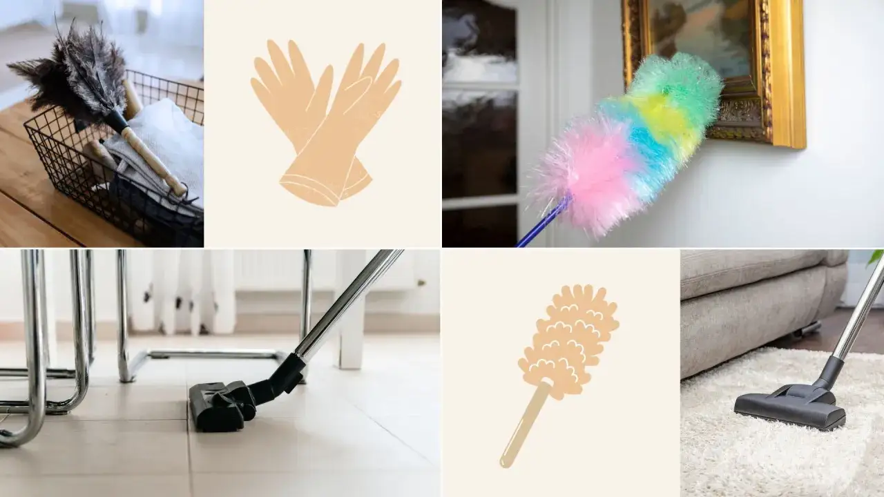 Reinigungstipps: erst saugen oder erst staubwischen? Federwedel, Handschuhe und Staubsauger für ein blitzsauberes Zuhause.