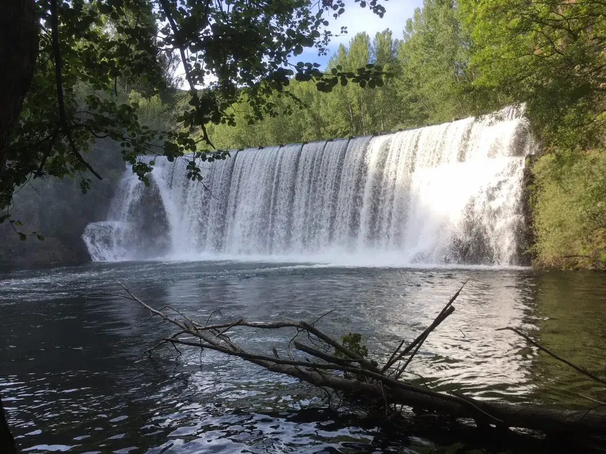El salto del pelgo, una cascada ancha y poderosa, se desploma en un río sereno rodeado de exuberante vegetación.