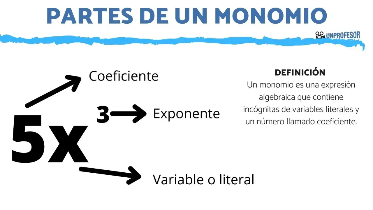 Ilustraci&oacute;n de las partes de un monomio: 5x, donde 5 es el coeficiente, x la variable y el exponente impl&iacute;cito es 1.