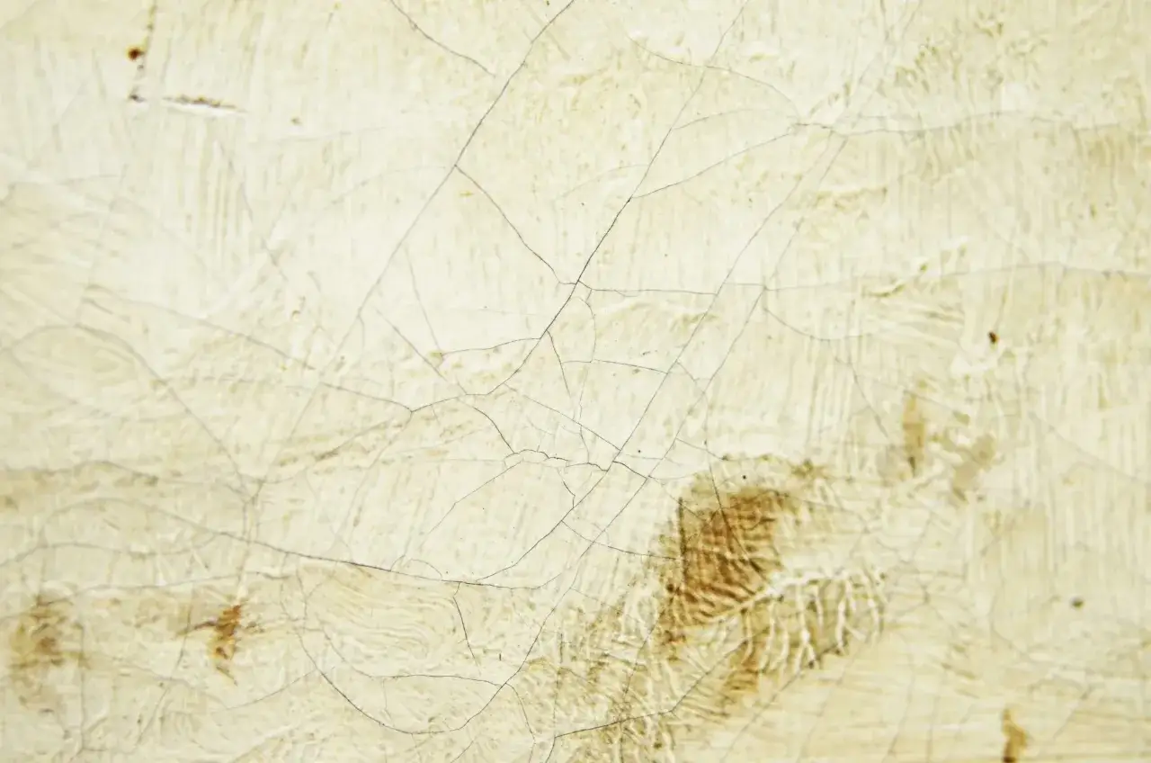 Texture craquelée d'une vieille toile huilée, révélant des fissures fines et des nuances terreuses.