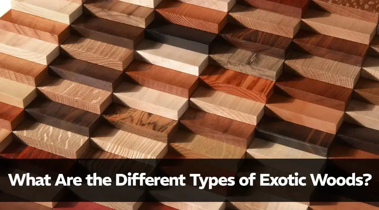 Muestras de maderas ex&oacute;ticas, mostrando la diversidad de colores y vetas. Explora qu&eacute; es la madera tropical y sus variaciones.