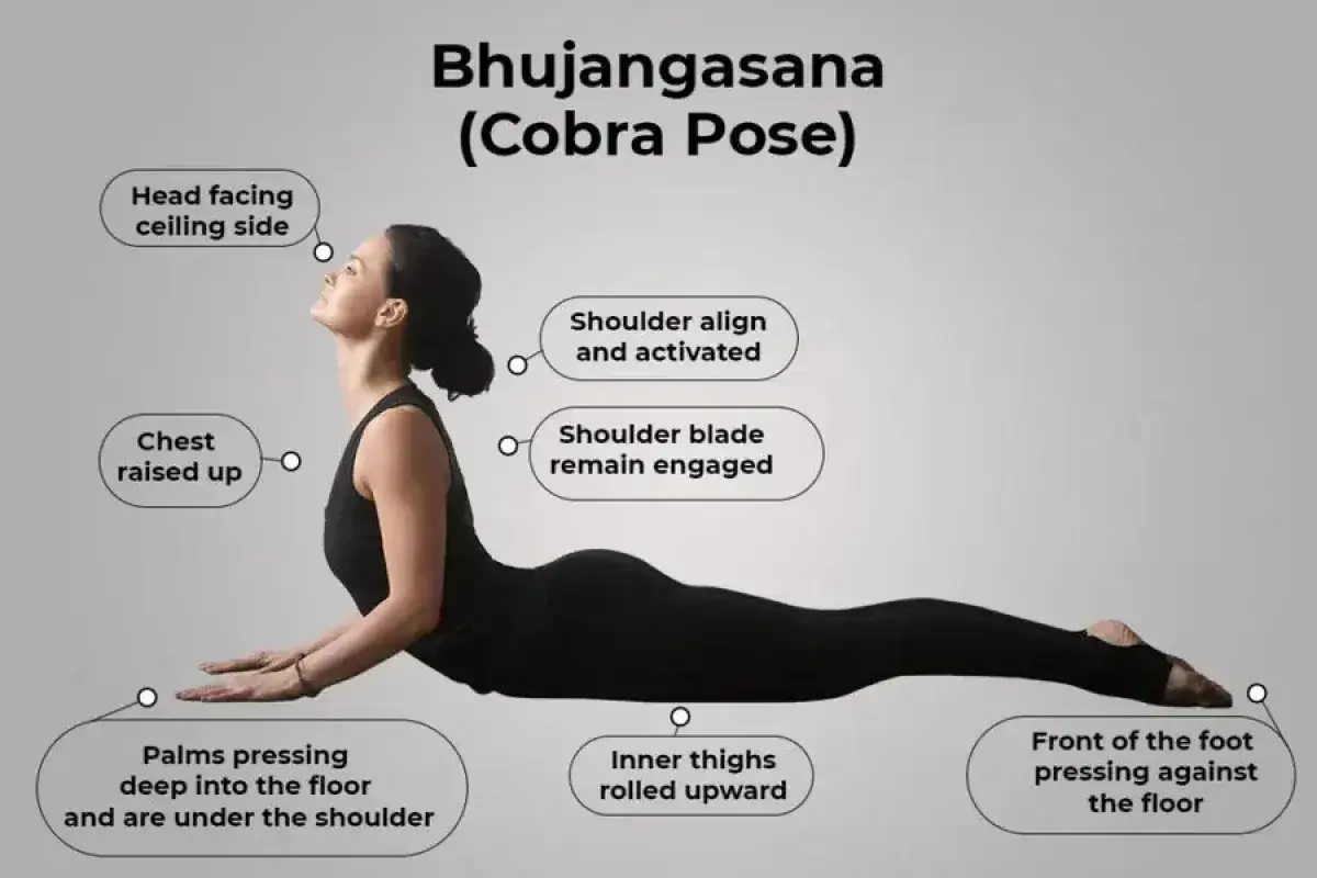 Kvinna utför cobra yoga (Bhujangasana). Kroppen är sträckt på golvet, bröstet lyft, huvudet bakåtböjt. Detaljer om korrekt utförande visas.