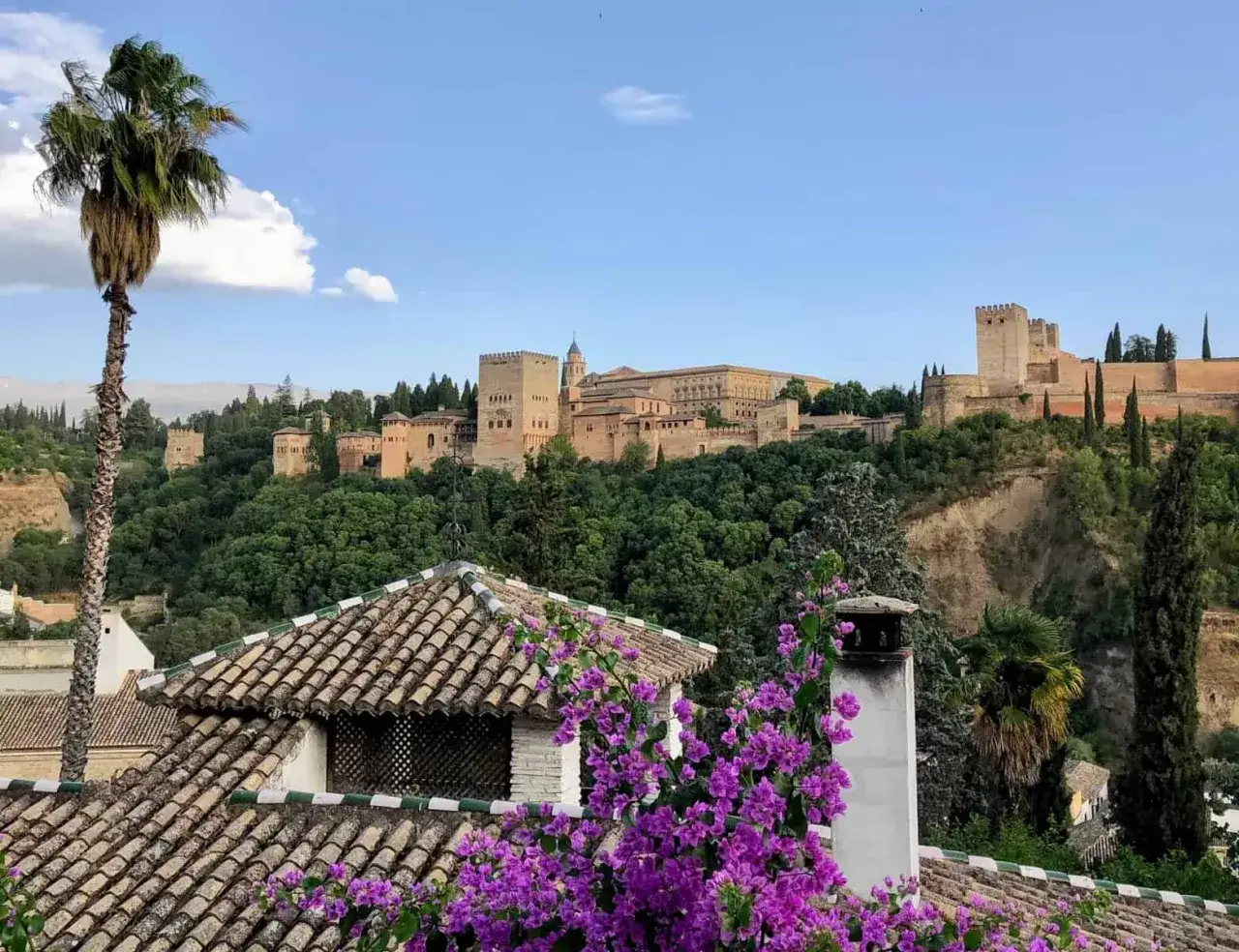 Blick auf die Alhambra, ein ehemaliger Palast und Festung, die einst als Granada Moschee diente. Palmen und Bougainvillea bl&uuml;hen vor der historischen Anlage.