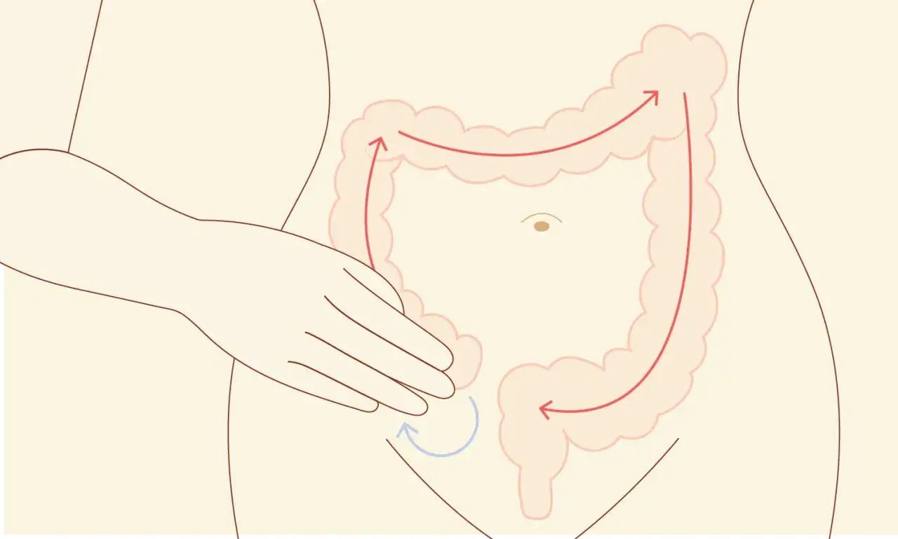 Illustration montrant un auto massage du c&ocirc;lon, avec des fl&egrave;ches rouges indiquant le sens du mouvement pour soulager la constipation.