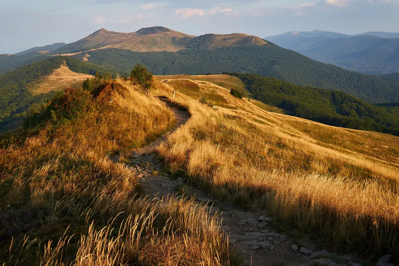 Bieszczady widok na połoniny jesienią