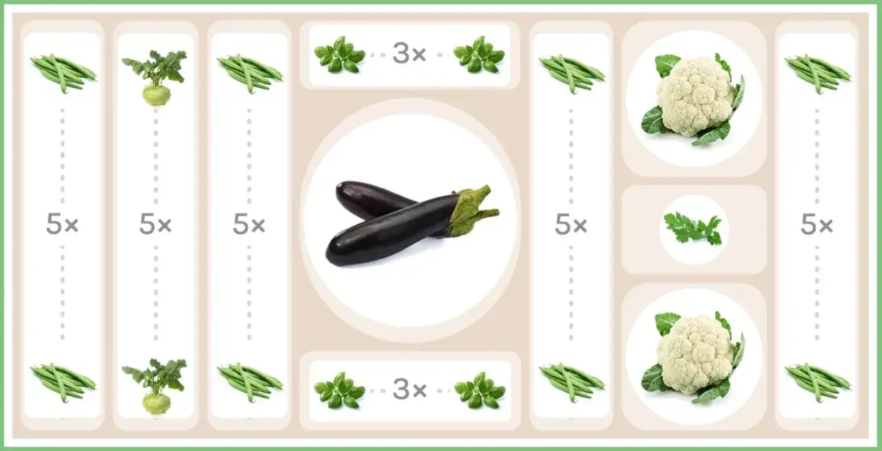 Gartenplan: 2 Auberginen, 5x grüne Bohnen, 5x Kohlrabi, 3x Basilikum, 2x Blumenkohl, Petersilie. So gelingt das Aubergine pflanzen!