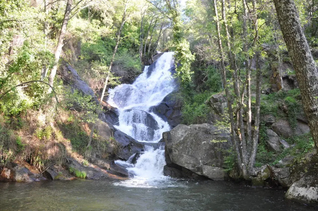 Cascada en la garganta de las nogaleas, rodeada de &aacute;rboles frondosos y rocas cubiertas de vegetaci&oacute;n. El agua cae en cascada por las rocas hacia un estanque.