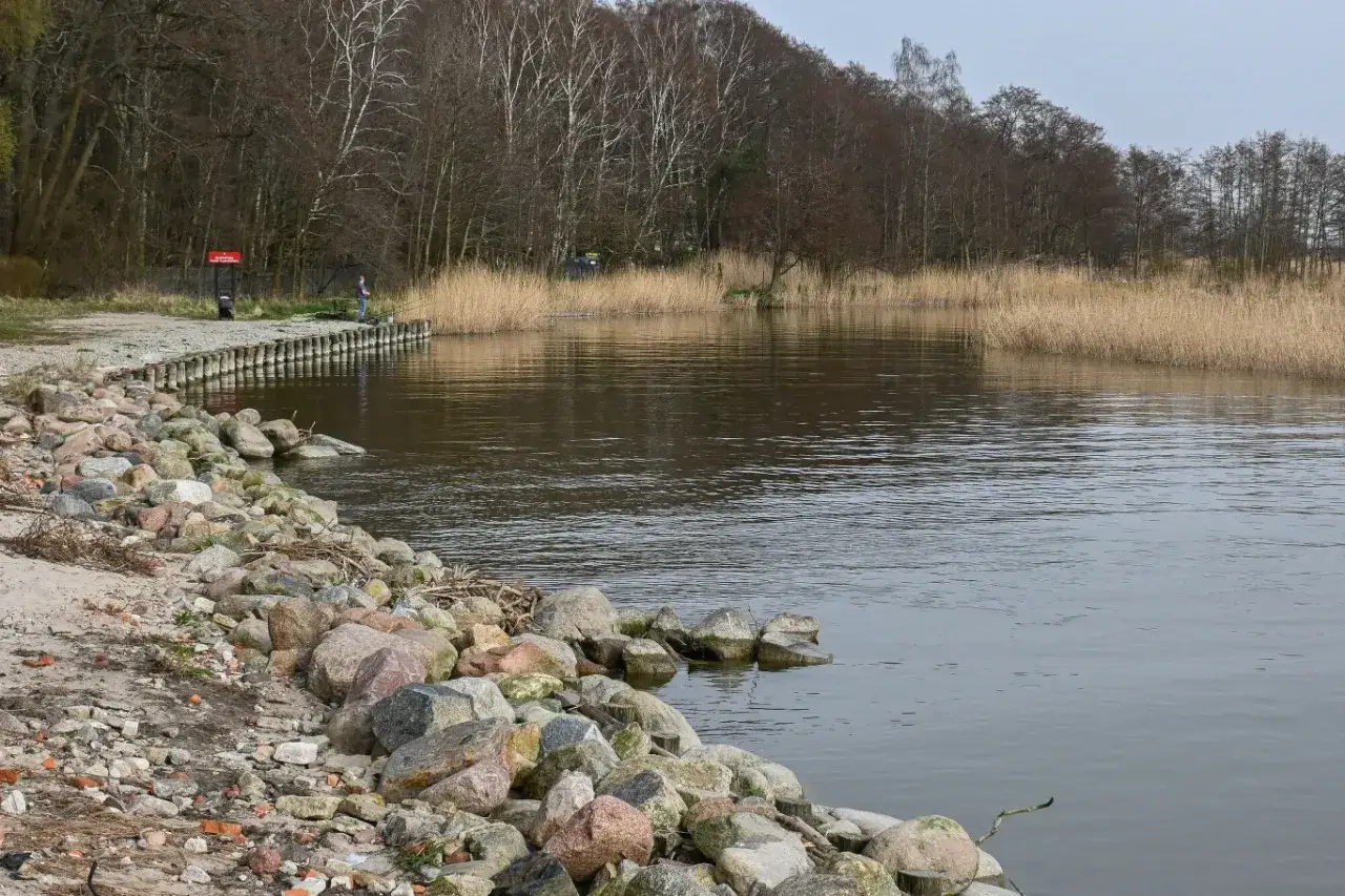 Kamienista plaża i drewniane pale wzdłuż brzegu jeziora. W oddali widać zarośla trzcin i las. Ktoś łowi ryby na trasie.