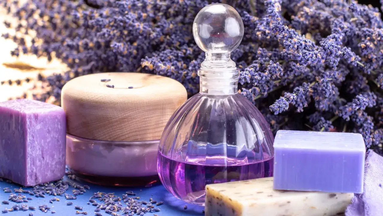 Lawendowe mydła, krem i perfumy – idealne, by poczuć zapach Prowansji. Co przywieźć z Francji? Te aromatyczne kosmetyki!