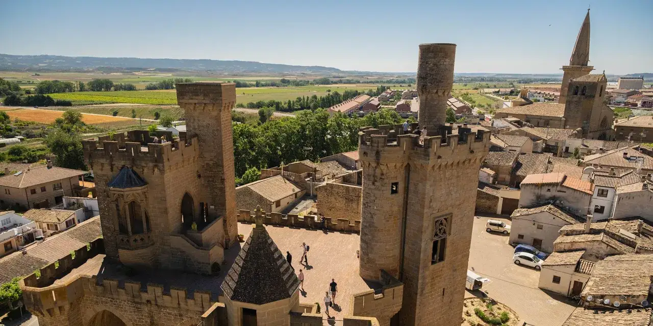 Vista aérea del castillo de Olite, con sus torres de piedra y tejados de teja, rodeado de campos verdes y un cielo azul.