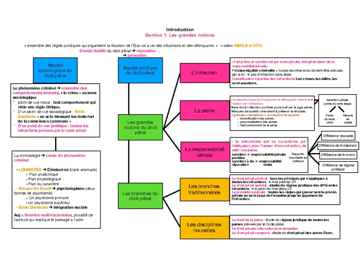 Schéma du droit pénal : infraction, peine, responsabilité. Le droit pénal général et spécial, les branches traditionnelles et nouvelles. Tentative d'escroquerie code pénal.
