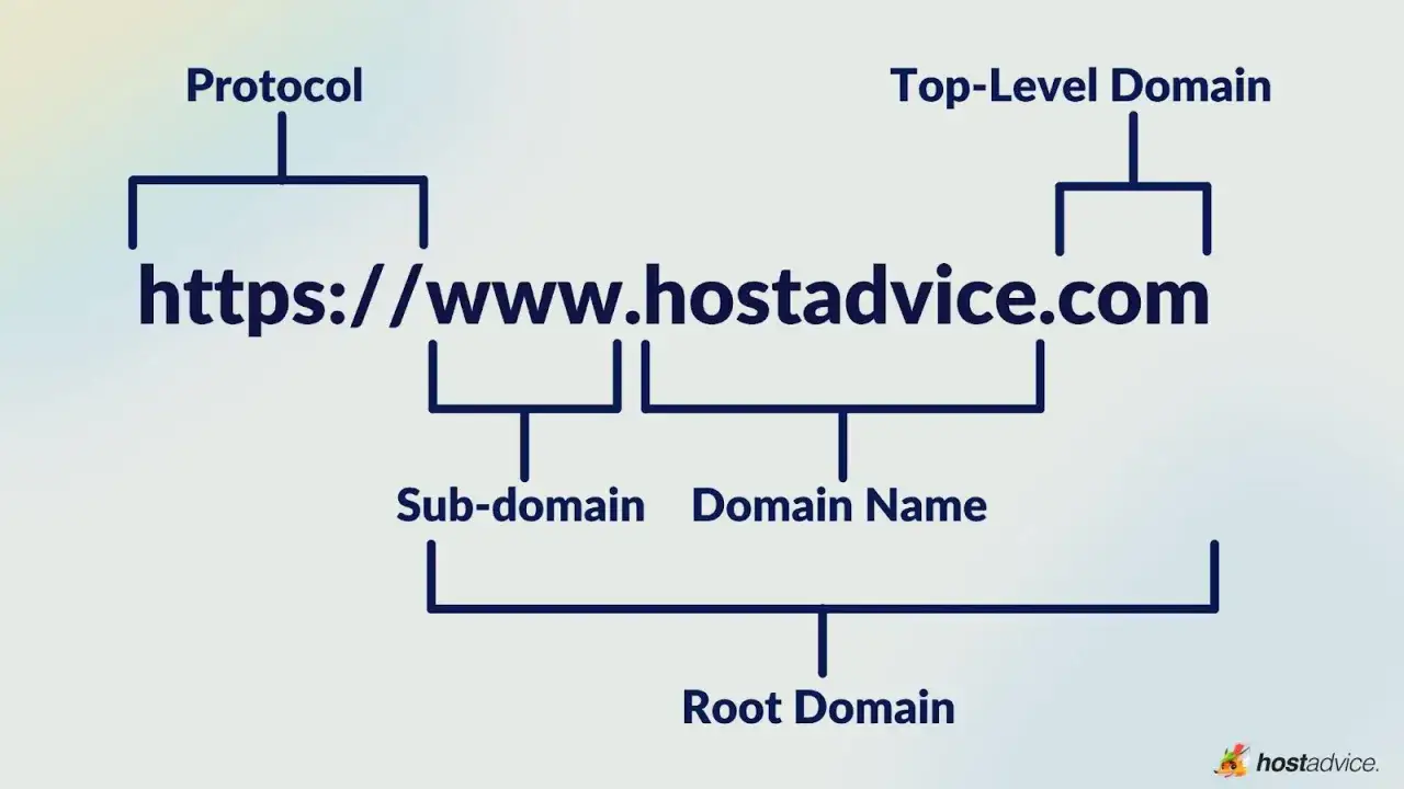Diagrama explica partes de una URL, como protocolo y dominio. Entender la diferencia entre .com y .net es clave.