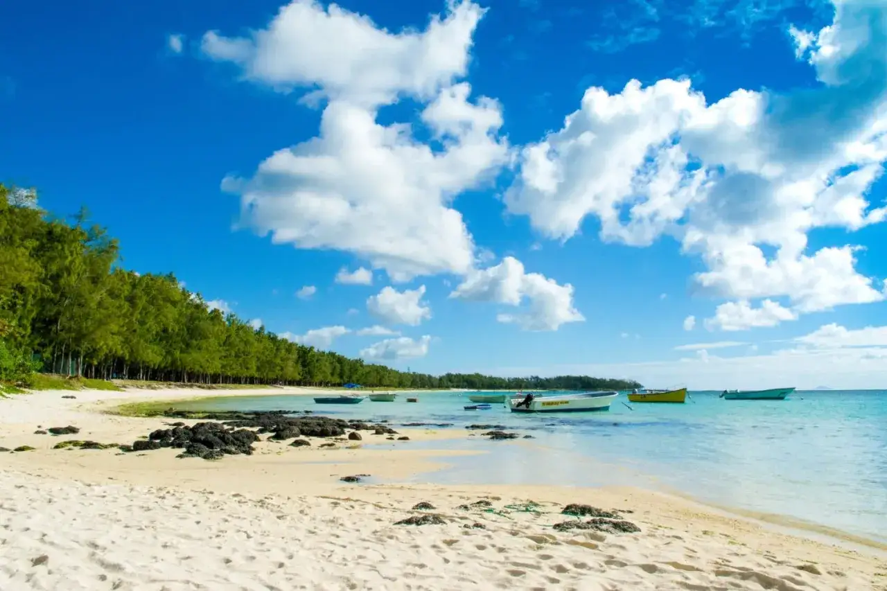 Traumhafter Strand mit Booten im t&uuml;rkisfarbenen Meer und gr&uuml;nen B&auml;umen. Perfekt f&uuml;r die beste Reisezeit Mauritius.