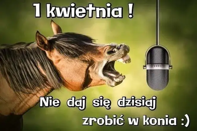 śmieszne żarty prima aprilis grafika