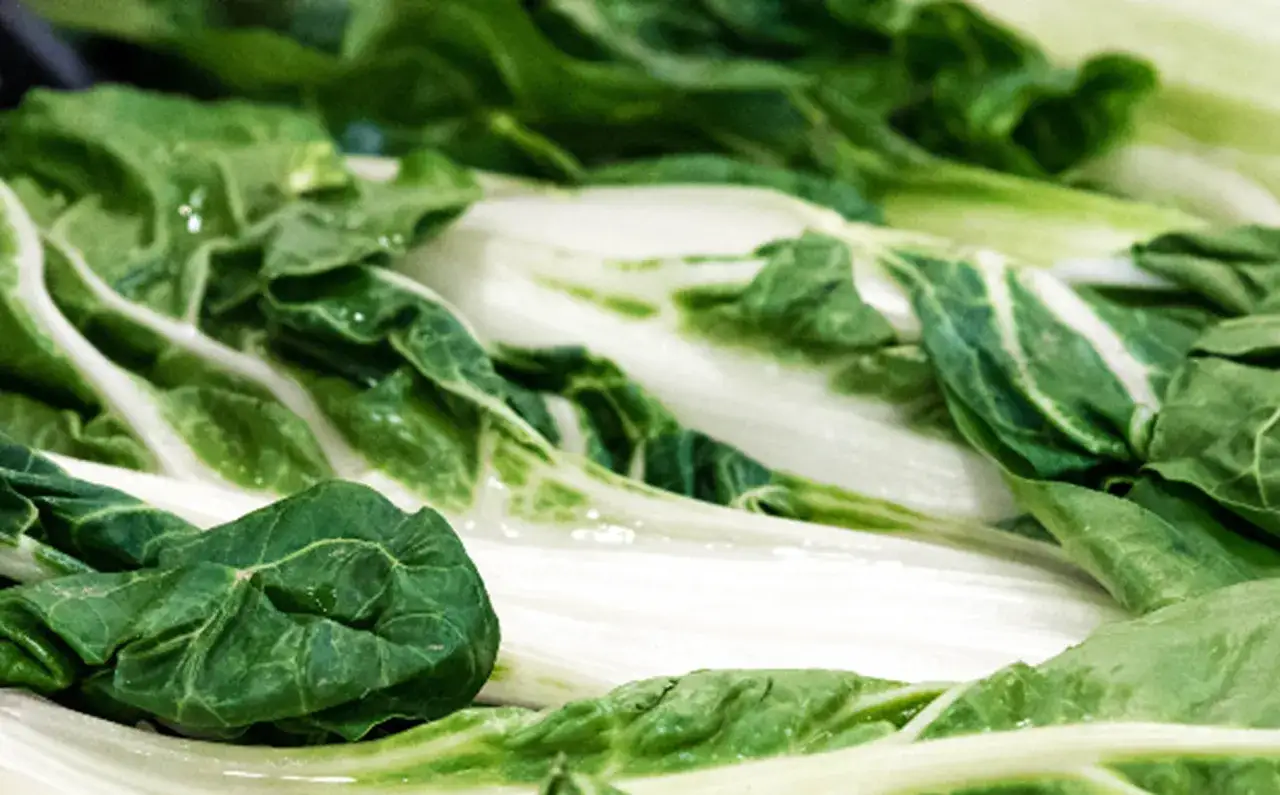 Acelgas frescas y verdes, listas para deliciosas recetas.
