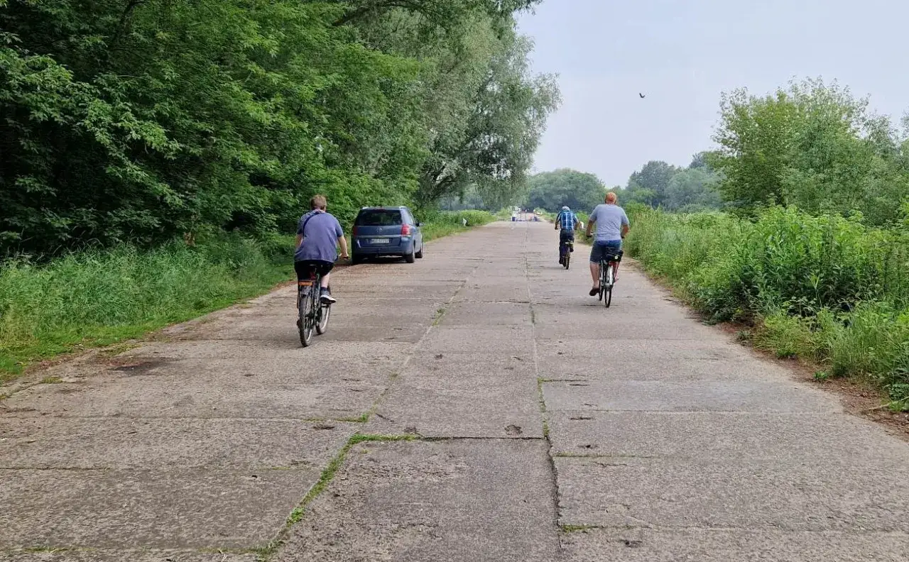 Trzech rowerzyst&oacute;w przemierza betonową, gazy trasę rowerową wśr&oacute;d zieleni.