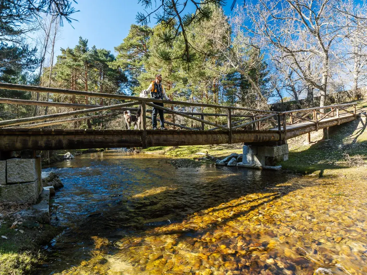 Hombre y perro cruzan un puente de madera sobre un río cristalino. El sol ilumina el lecho pedregoso, creando un efecto de 