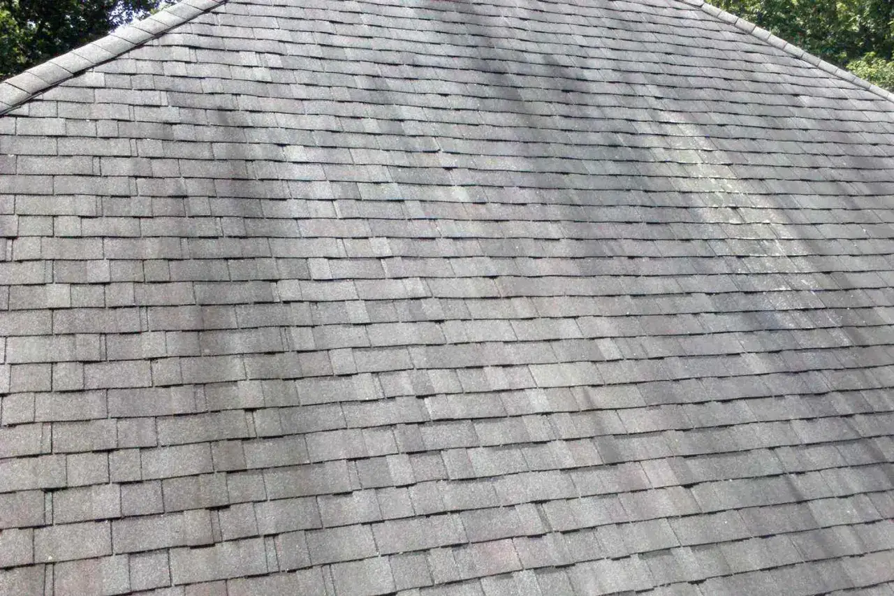 A weathered asphalt shingle roof shows signs of algae growth, likely Gloeocapsa magma, creating a mottled, discolored appearance.