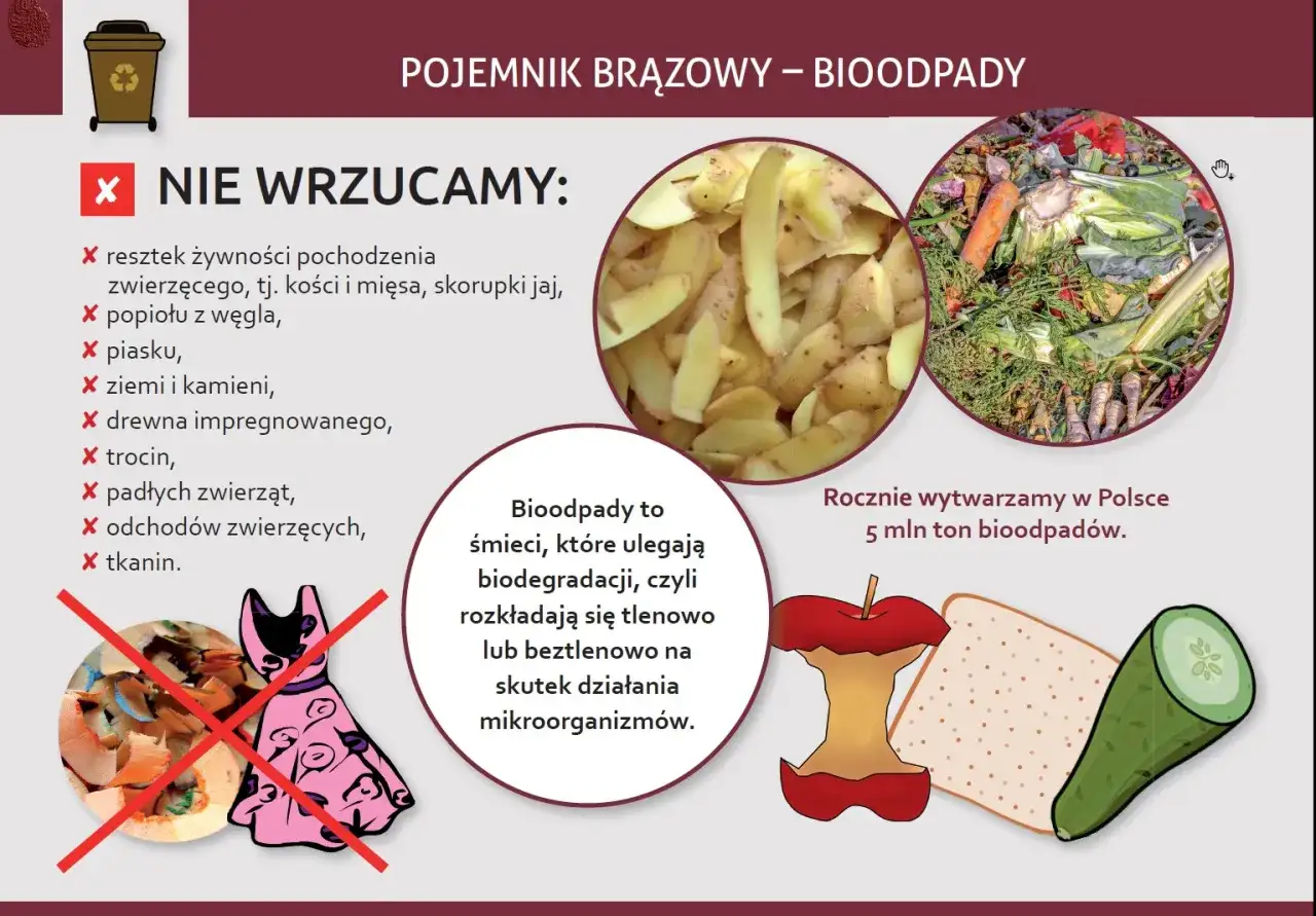 Do brązowego pojemnika nie wrzucamy: resztek zwierzęcych, popiołu, piasku, ziemi, drewna impregnowanego, trocin, padłych zwierząt, odchodów ani tkanin.