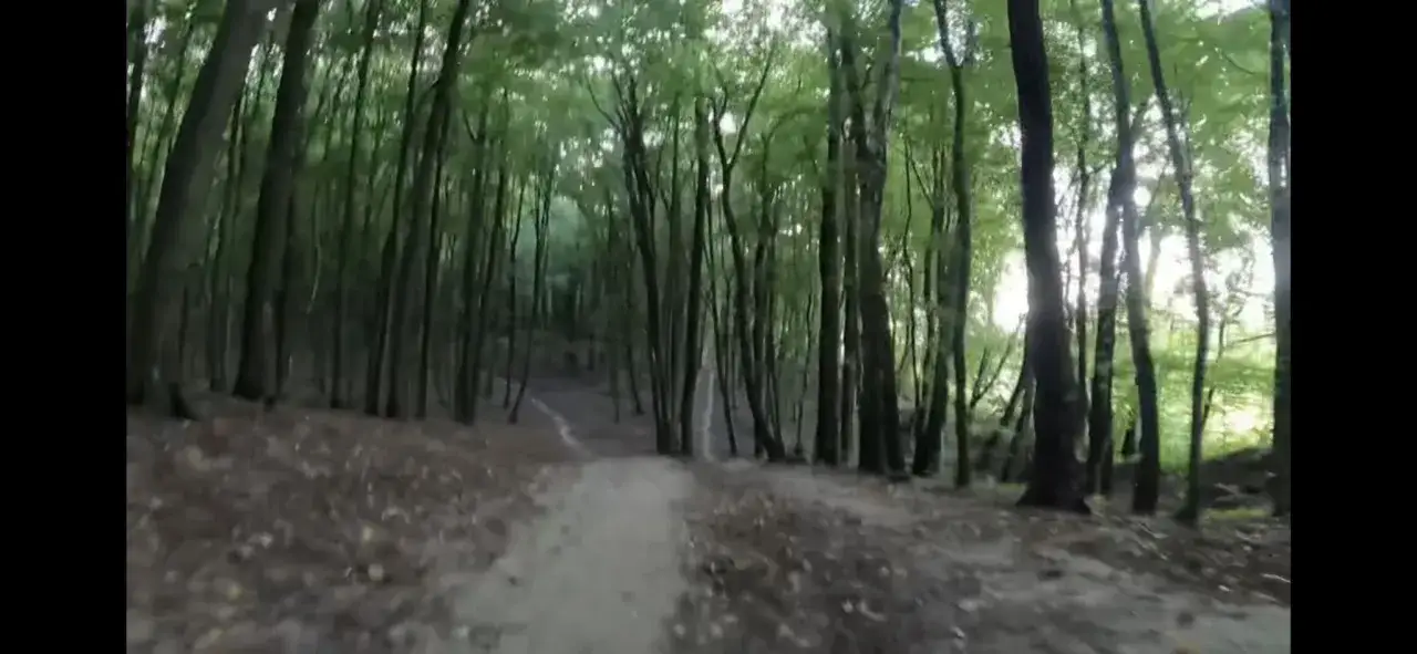 Leśna ścieżka, idealna na trasy rowerowe Lublin. Słońce przebija się przez liście, tworząc magiczny klimat.
