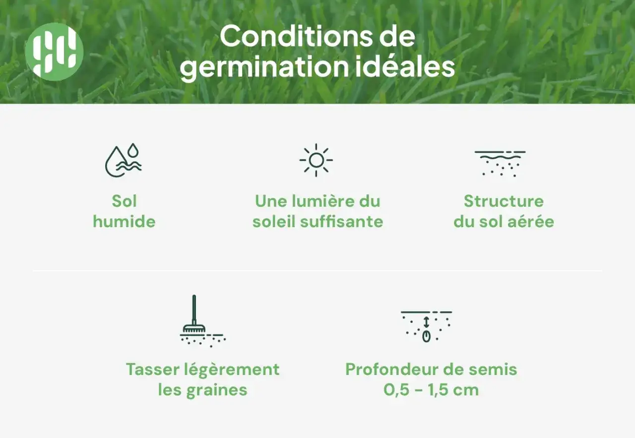 Conditions id&eacute;ales pour quand planter du gazon : sol humide, soleil, sol a&eacute;r&eacute;, graines tass&eacute;es &agrave; 0,5-1,5 cm.