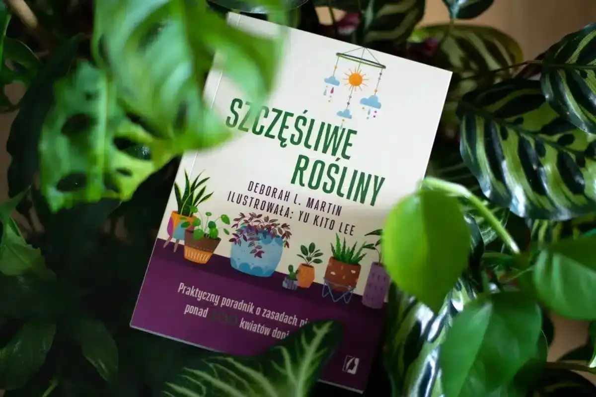 Książka 