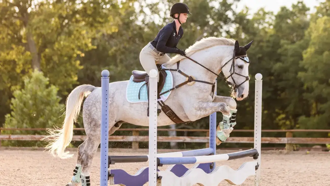 Reiterin und Pferd im **Reitsport Springen** über ein Hindernis. Das Pferd ist in der Luft, die Reiterin balanciert.