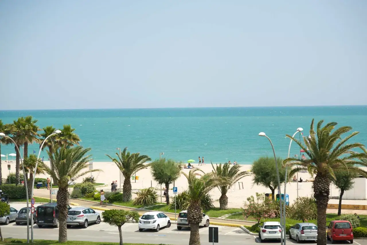 Palme e auto parcheggiate con vista sul mare cristallino di Civitanova Marche. Una giornata di sole perfetta per la spiaggia.