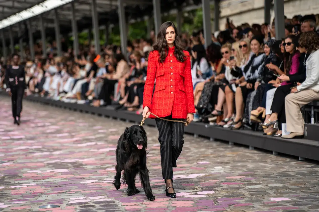 Una modelo pasea un perro negro por la pasarela, luciendo un traje rojo y pantalones a rayas. La **loli bahía** de la moda se siente en el ambiente.
