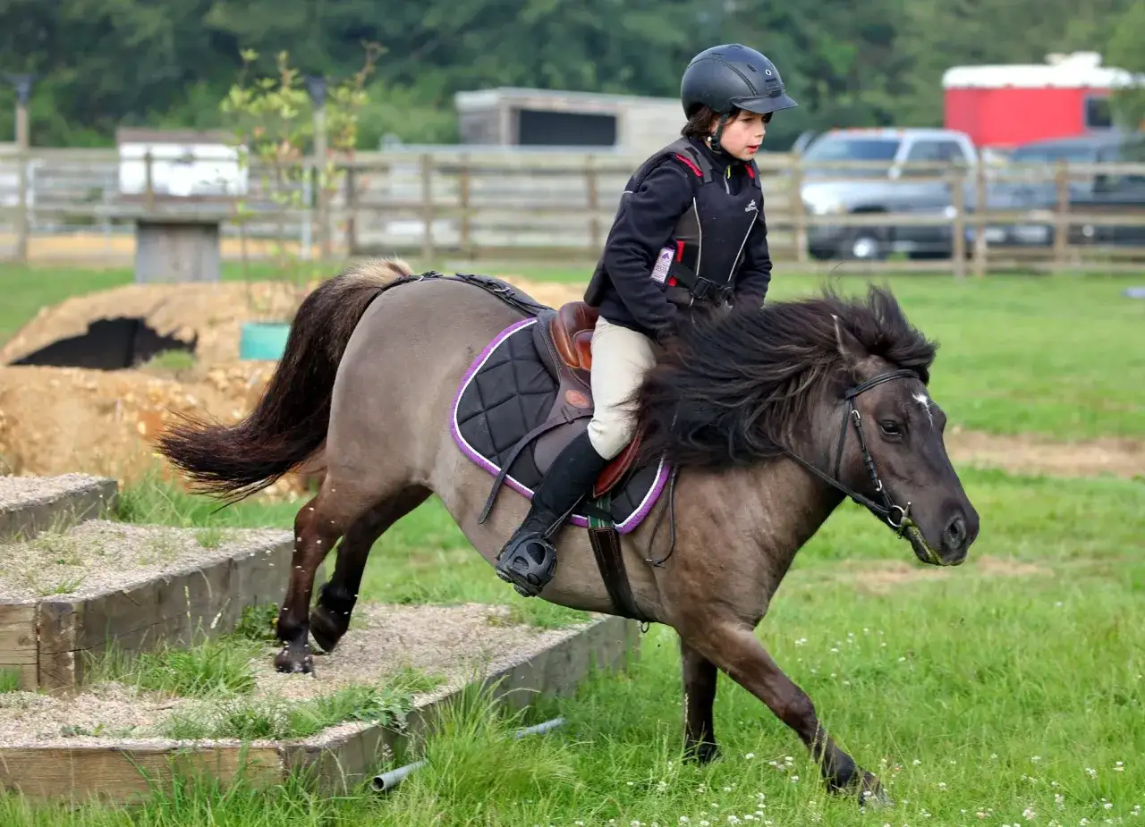 Jeune cavalier sur un poney shetland gris, franchissant un obstacle en bois.