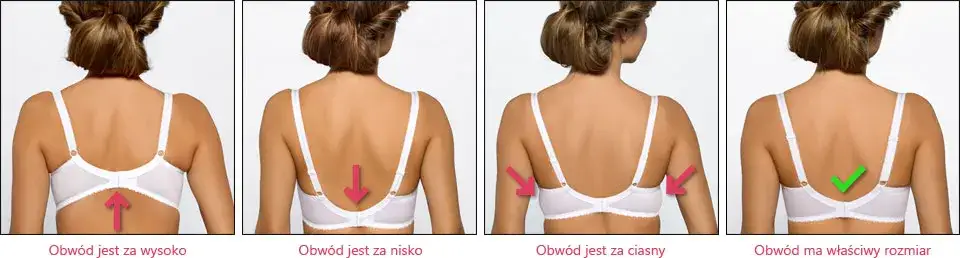 Prawidłowo dopasowany biustonosz infografika